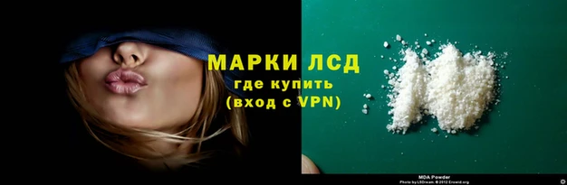 сатива Заволжье