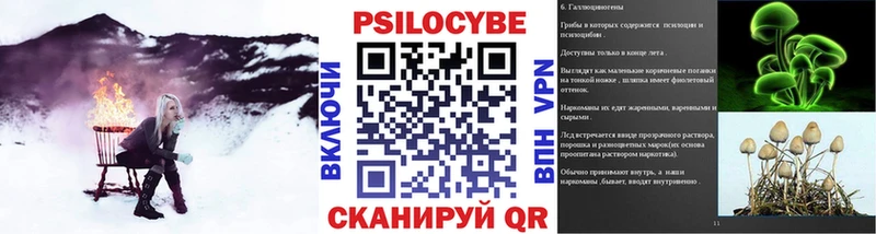 Псилоцибиновые грибы мицелий  мега как зайти  Буинск 